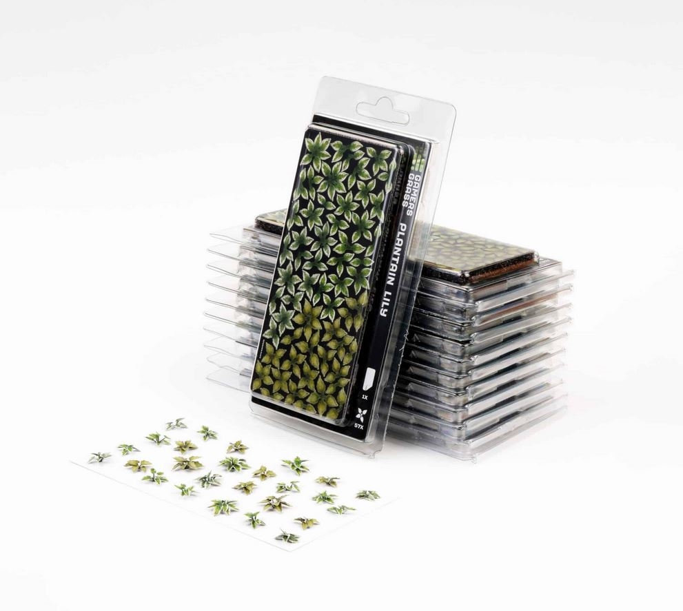 Gamer's Grass Plantain Lily Laser Plants